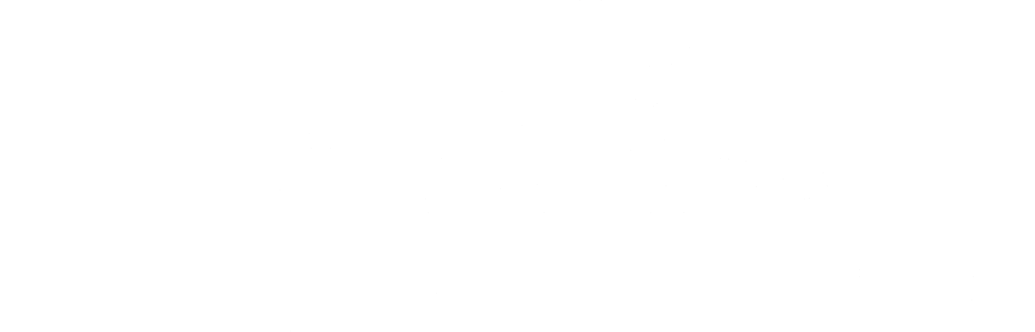 NSURUS White Logo - Traced